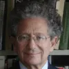 author-دومينيك-موسي